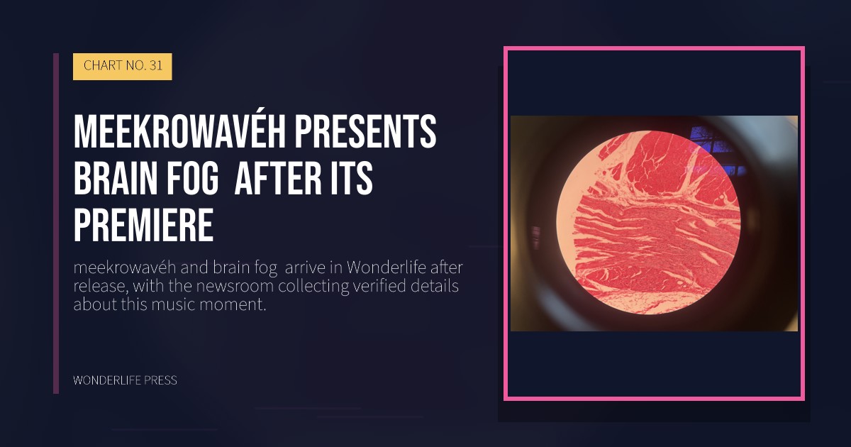 Wonderlife Press: meekrowavéh presents brain fog after its premiere. release artwork. CHART NO. 31.