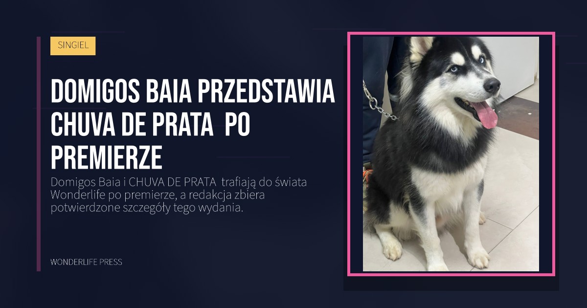 Wonderlife Press: Domigos Baia przedstawia CHUVA DE PRATA  po premierze. okładka wydawnictwa. SINGIEL.