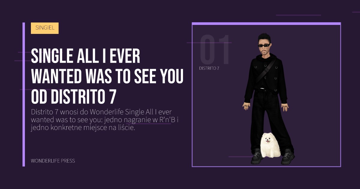 Wonderlife Press: Single All I ever wanted was to see you od Distrito 7. portret artystów. SINGIEL.