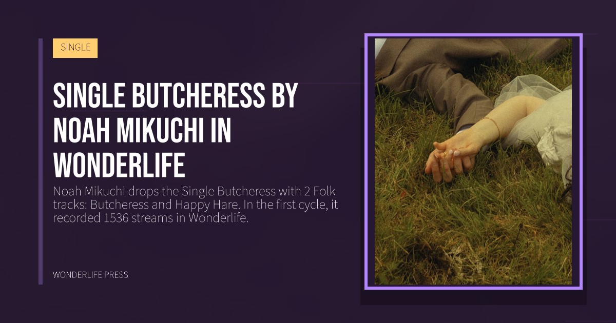 Wonderlife Press: Single Butcheress by Noah Mikuchi in Wonderlife. release artwork. SINGLE.