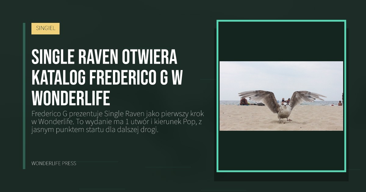 Wonderlife Press: Single Raven otwiera katalog Frederico G w Wonderlife. okładka wydawnictwa. SINGIEL.