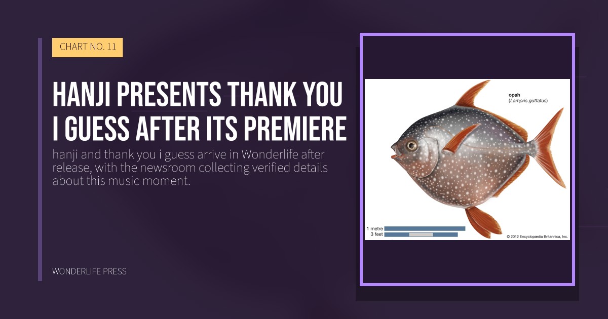 Wonderlife Press: hanji presents thank you i guess after its premiere. release artwork. CHART NO. 11.